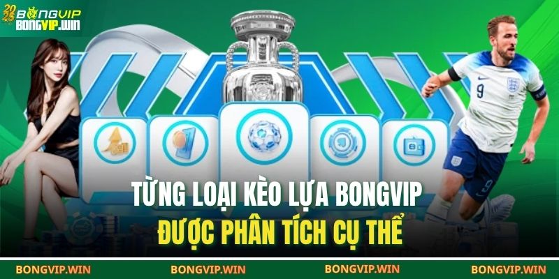 Kèo Lựa BONGVIP – Bí Mật Đằng Sau Sức Hút Cá Cược Hiện Đại 3 Từng loại kèo lựa BONGVIP được phân tích cụ thể